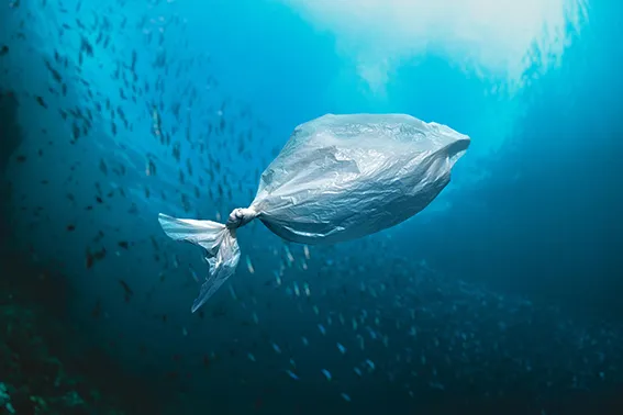 Plastic waste in the ocean